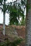 DSC-0203