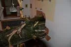 DSC-0274