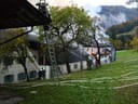 DSCF6860