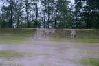 DSC-1973
