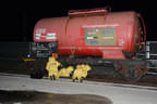 DSC-3710