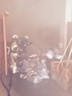img20150610wa0023