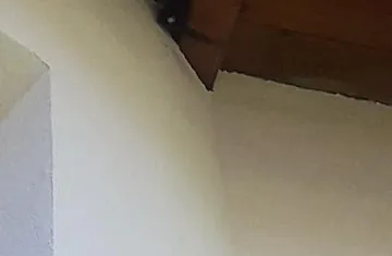 116435375_3081053311960172_2337688976598824189_n.jpg