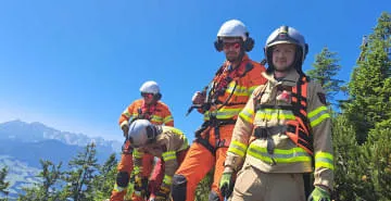 Brand-Wiese