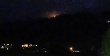 Brand-Wald