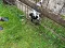 aa588fe5d6894cb9b059f3f987e0c404_1.jpeg