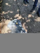 c40082c587274840bdba545c92d273c8.jpeg