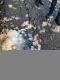c40082c587274840bdba545c92d273c8.jpeg
