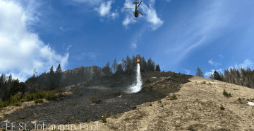 Brand-Wiese
