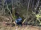 a84e6f2d1425496fab81d5038ddd7203.jpeg