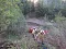 c894926d439c4639ba75b6f9d7c54038.jpeg