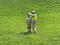 d6b40338352f4d90978ccc57d7a64f9d.jpeg