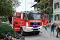 dsc09933.jpeg