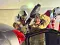 img_1030.jpeg