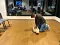 img_2451.jpeg