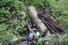 dsc09674.jpeg
